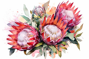 Bold Protea Bouquet Watercolor