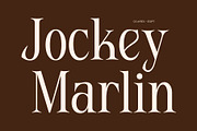 CS Ayres – Contemporary Serif Font, a Serif Font by Craft Supply Co. (Thumbnail 4 of 8)