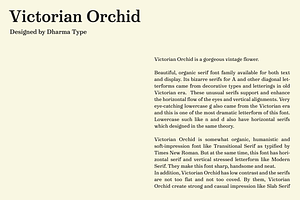 Victorian Orchid