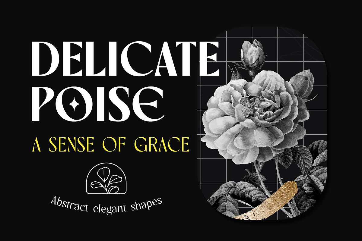 Rovaney - Fancy Font Family, a Serif Font by Arterfak Project (Photo 13 of 15)