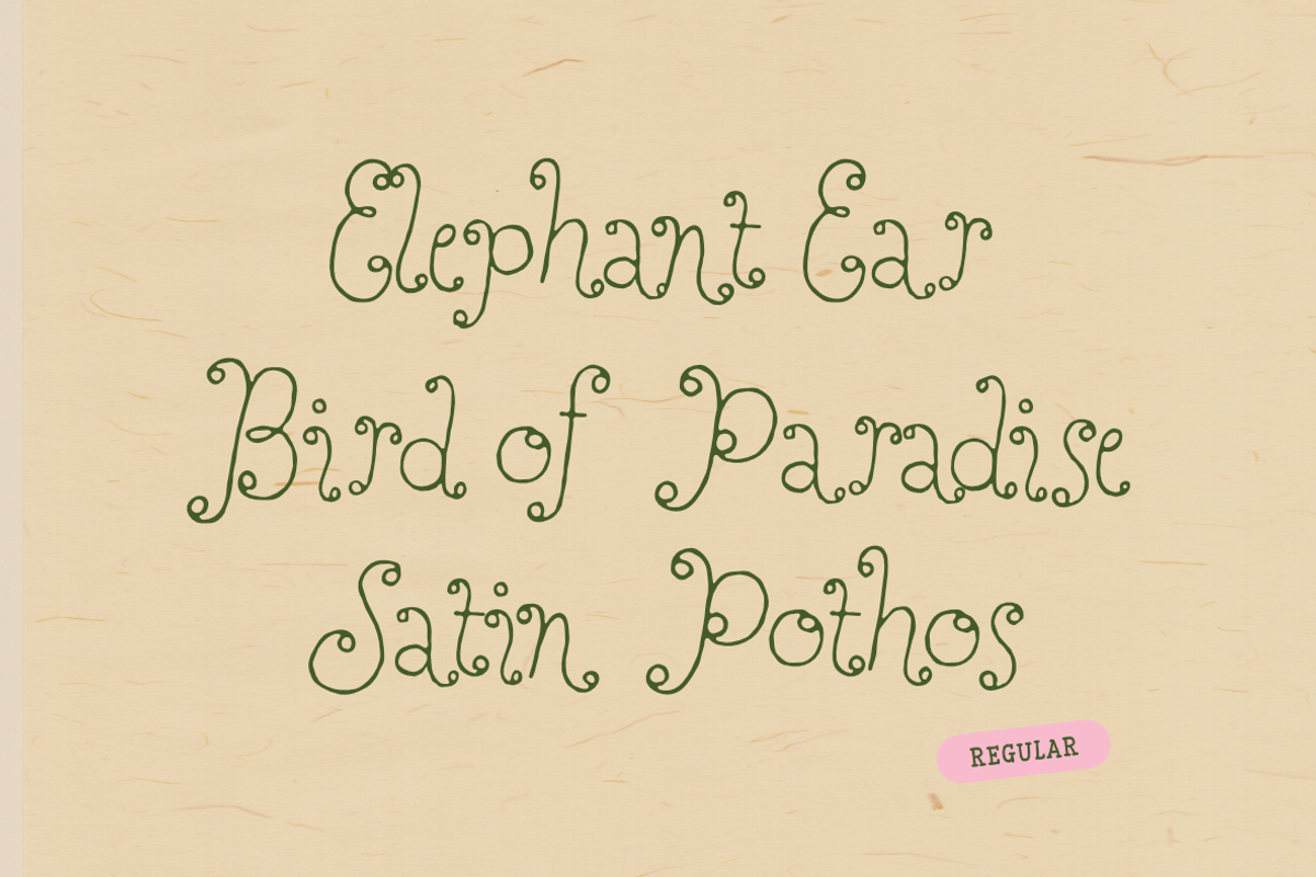 Perfect Sprouts | Whimsical Font, a Handwritten Font by type peace (Photo 16 of 20)