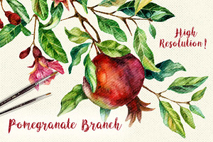 Watercolor Pomegranate Branch