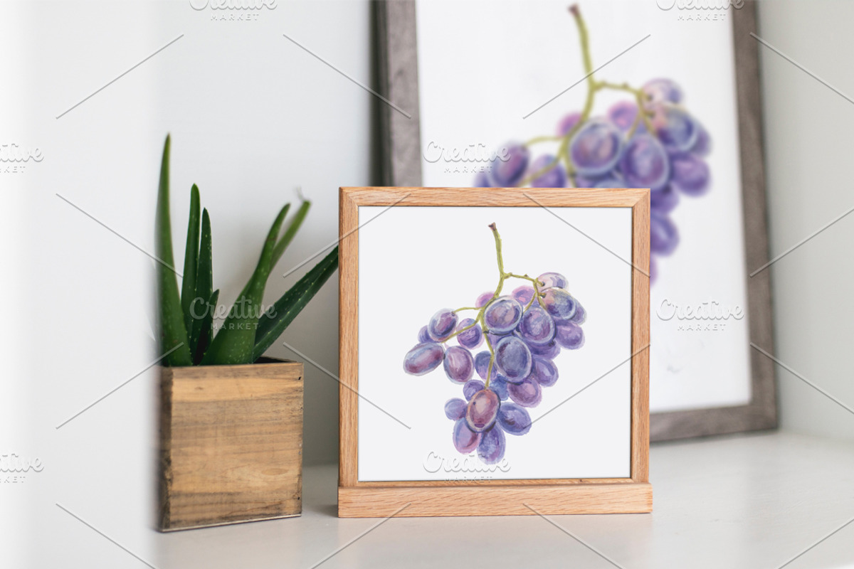 Watercolor exotic fruits, an Illustration by miminoshka (Photo 5 of 7)