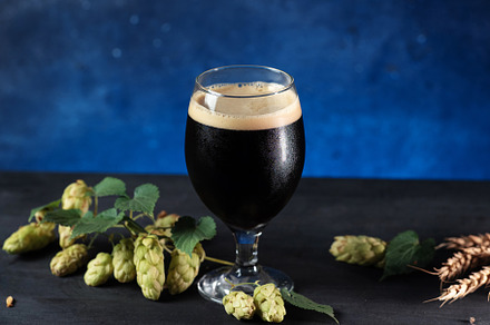 A glass of beer stout or porter on a dark blue background, green cones of hops