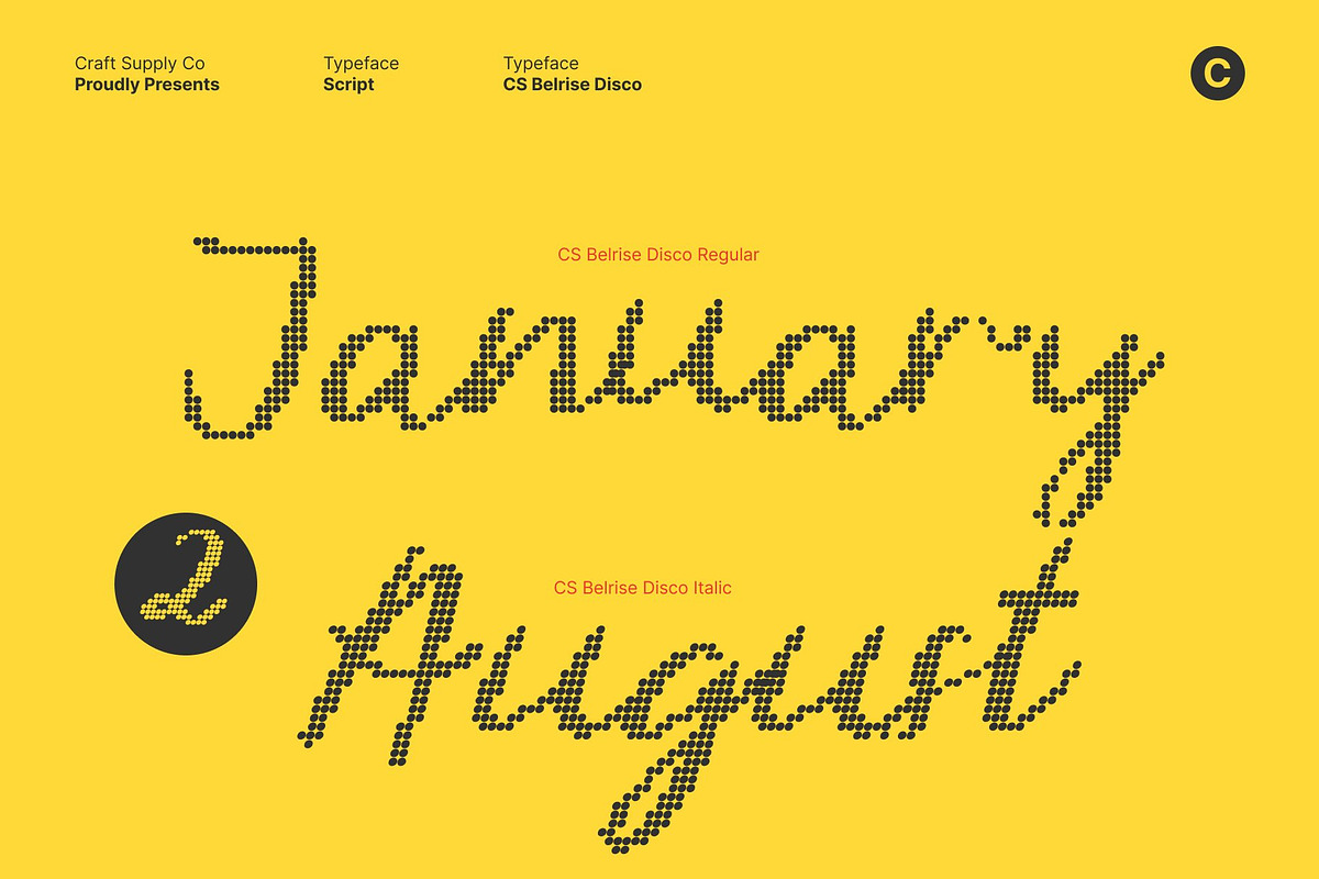 CS Belrise Disco, a Script Font by Craft Supply Co. (Photo 4 of 8)