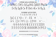 Kindly | Script Font, a Handwritten Font by Scratchones (Thumbnail 7 of 9)