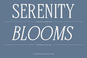 CS Qeisya Drawn, a Serif Font by Craft Supply Co. (Thumbnail 3 of 8)