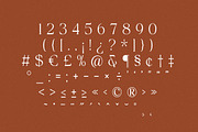 The Bilstein Editorial, a Serif Font by Pista Mova (Thumbnail 20 of 20)