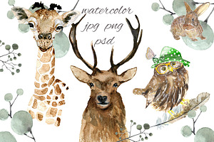 Animals watercolor