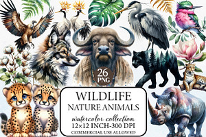 Watercolor Wildlife Nature Animals, an Illustration by Libby Wishes
