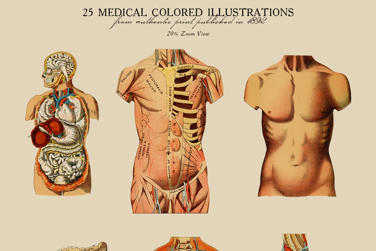 25 Medical Colored Illustrations, a Healthcare Illustration by Unember (Photo 4 of 4)