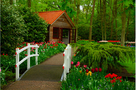 Stone walk way in garden, a Nature Photo by Neirfy