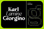 Mizhon | 36 Fonts, a Serif Font by Skinny Type (Thumbnail 9 of 15)