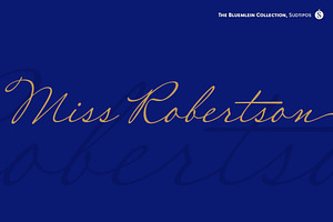 Miss Robertson Pro, a Script Font by Sudtipos