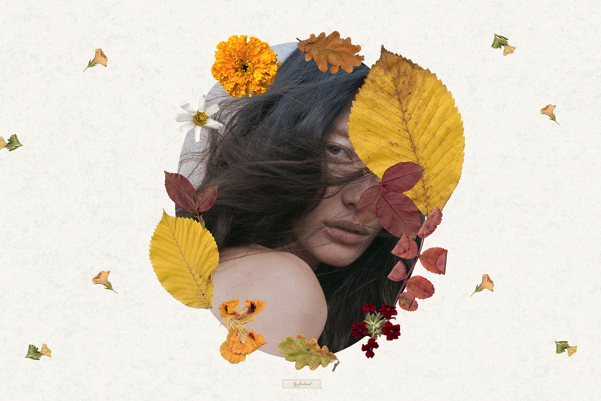 Tender Flora: Botanical Scrapbook, an Object Graphic by Feelsoul (Photo 6 of 10)