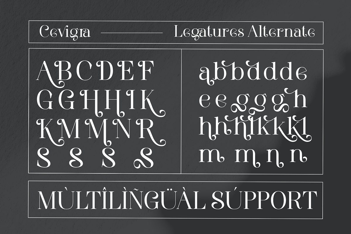 Cevigra Elegant Serif Font, a Serif Font by Graphicxell (Photo 4 of 11)