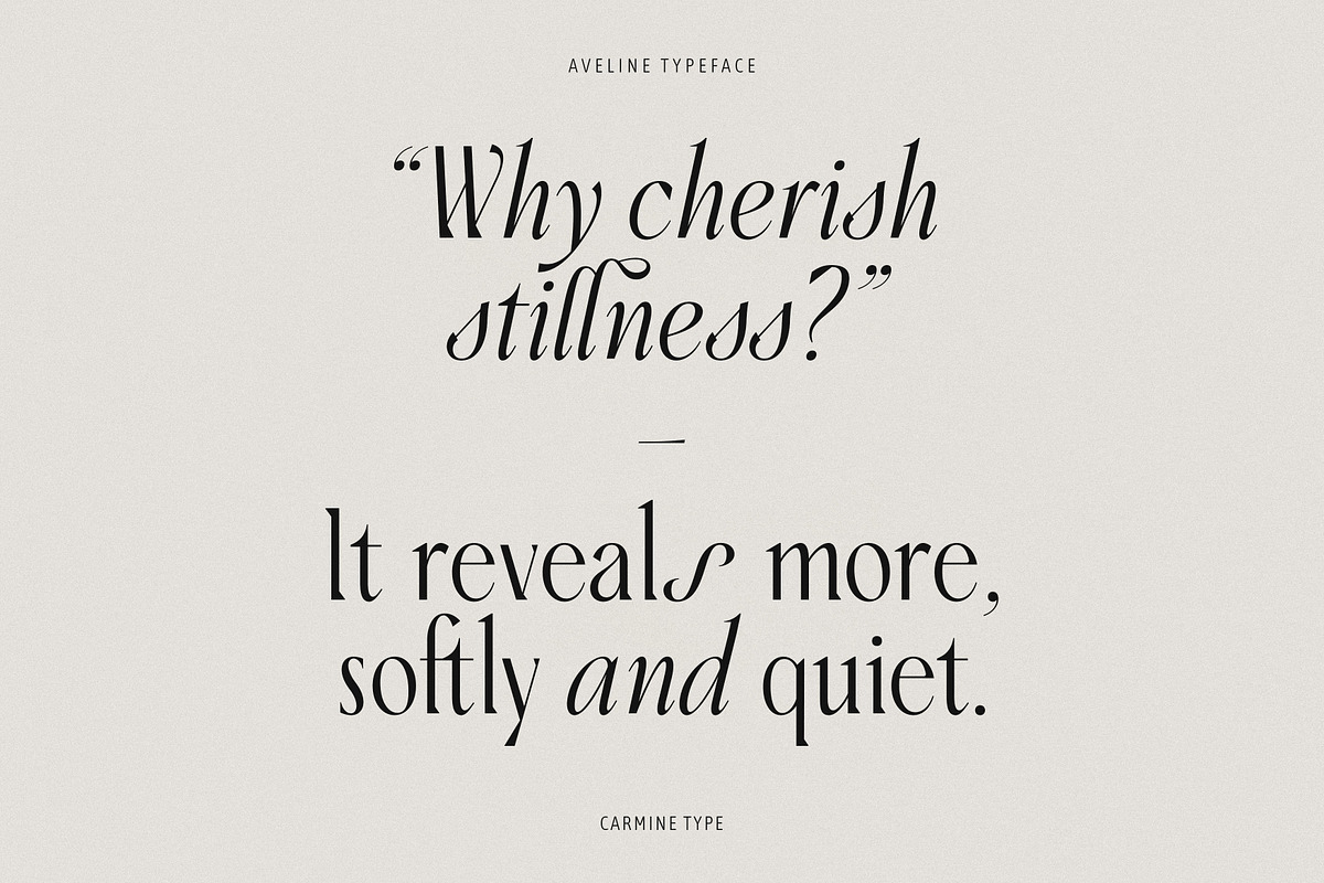Aveline, Soft Serif with Ligatures, a Serif Font by CarmineType (Photo 12 of 28)