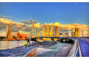 Erasmus bridge in rotterdam netherlands stock photo containing rotterdam and, an Architecture Photo by Leonid Andronov