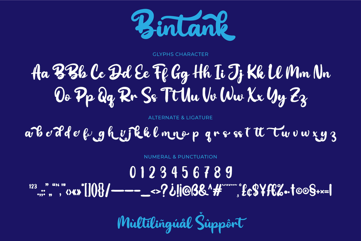 Bintank, a Script Font by twinstd (Photo 13 of 13)
