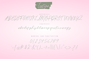 Lestya, a Script Font by Mozyen Studio (Thumbnail 6 of 7)