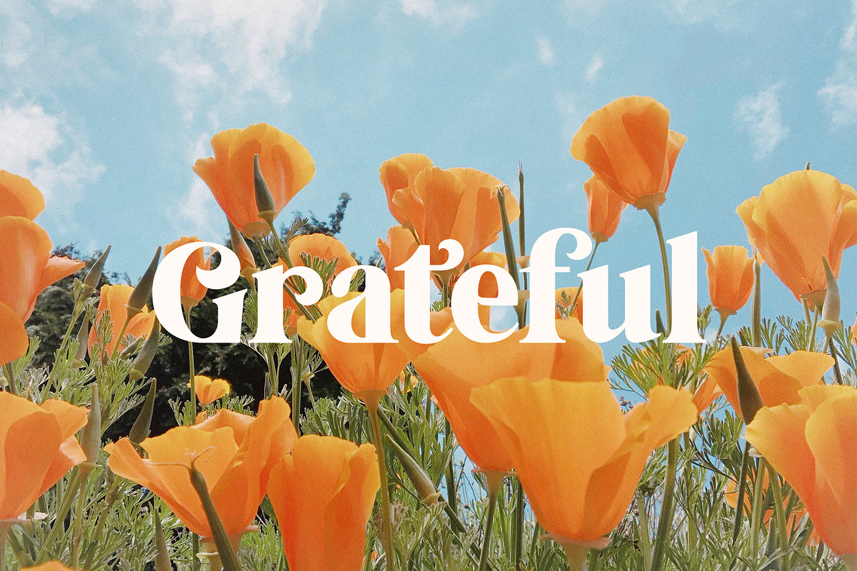 Tropical Garden font, a Serif Font by Davide Bassu (Photo 10 of 15)