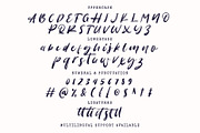 Palmist - SVG Script Font, a Script Font by Prioritype Co (Thumbnail 9 of 10)