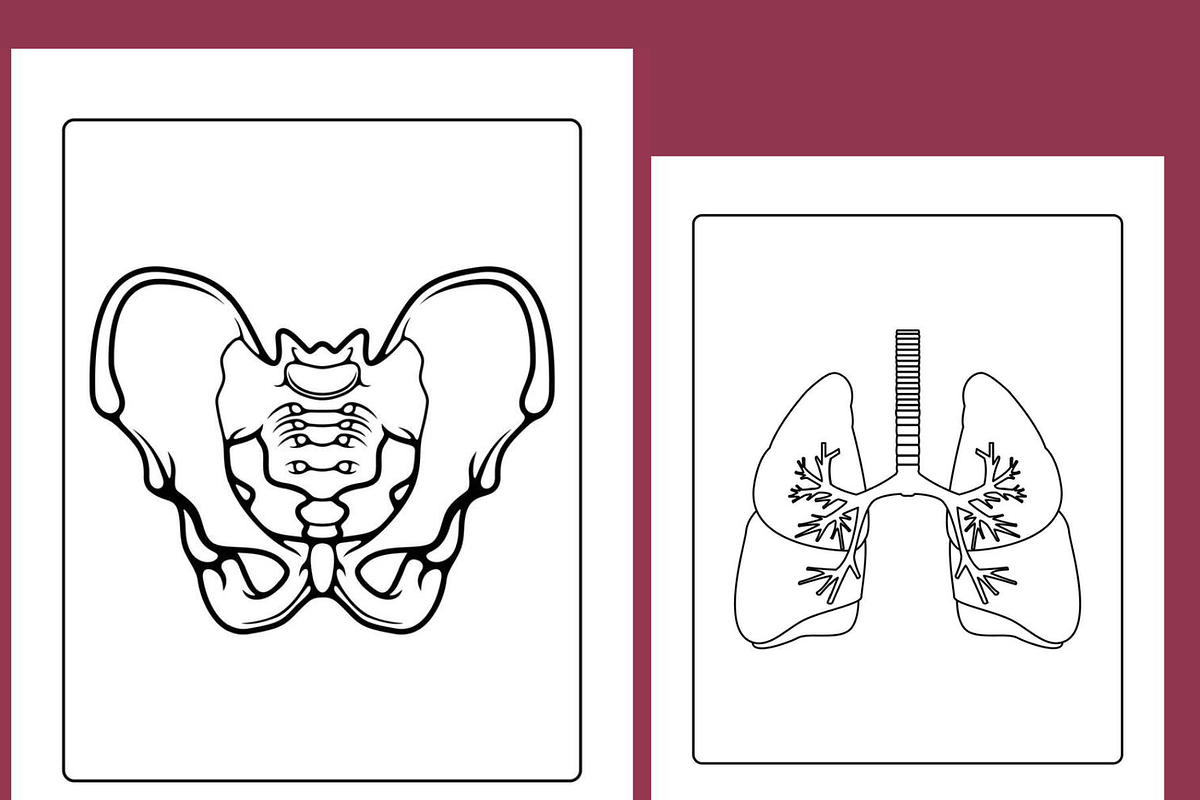 Anatomy Coloring Pages for kids, an Education Illustration by Sourcedigi (Photo 2 of 3)