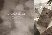 Neutral Florals textured backgrounds, a Background Graphic by DigARTbyHavroshka (Thumbnail 12 of 13)
