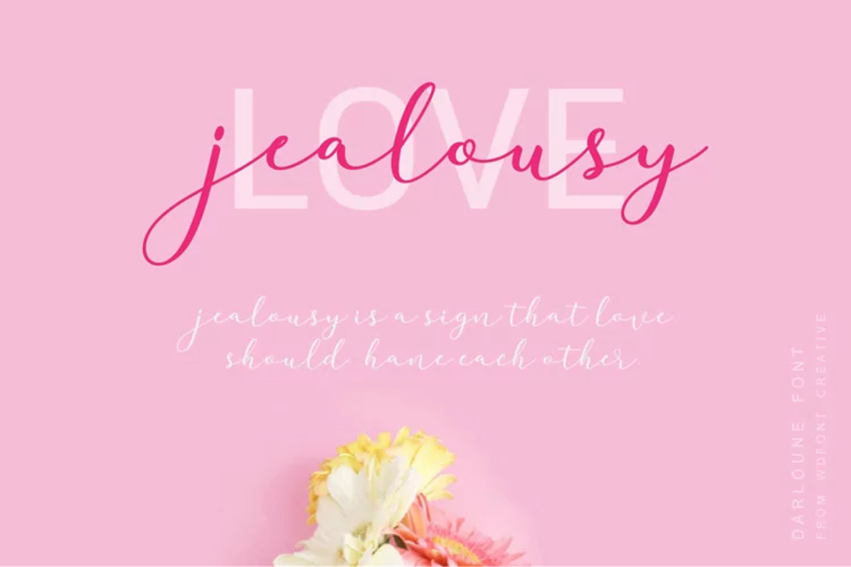 Darloune | An Elegant Calligraphy, a Script Font by WDfont (Photo 3 of 5)
