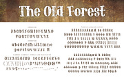 The Old Forest, a Serif Font by Brittney Murphy Design (Thumbnail 2 of 3)