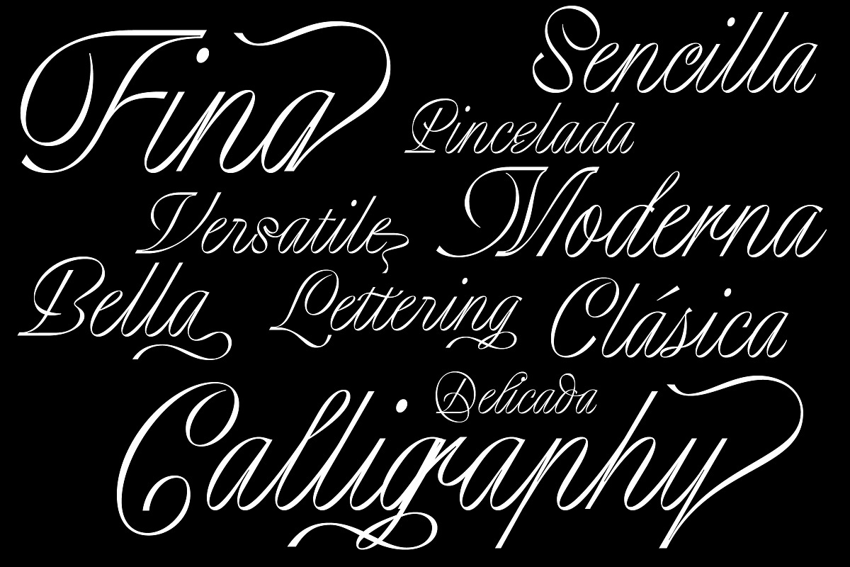 Ribbonetta, a Script Font by Sudtipos (Photo 5 of 6)