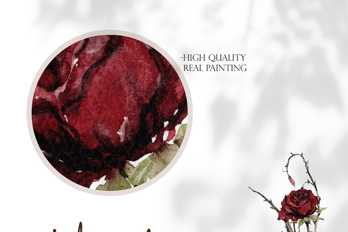 Watercolor Clipart - Haunted Rose, a Decorative Illustration by Beigetime (Photo 2 of 12)