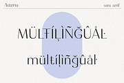 Asteria // A Modern Sans Serif Font, a Sans Serif Font by Megs Lang (Thumbnail 10 of 14)