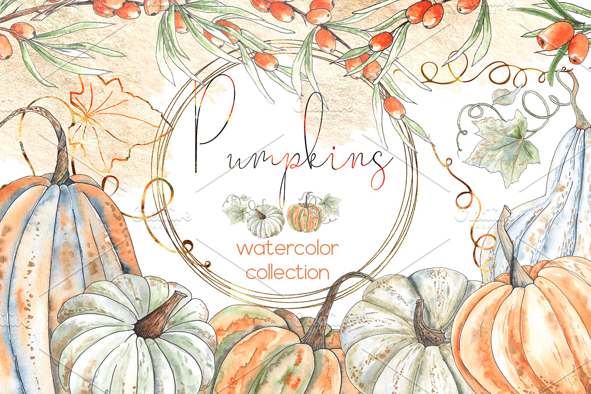 Pumpkins. Watercolor collection, an Object Graphic by Ana-Sakuta (Photo 1 of 17)