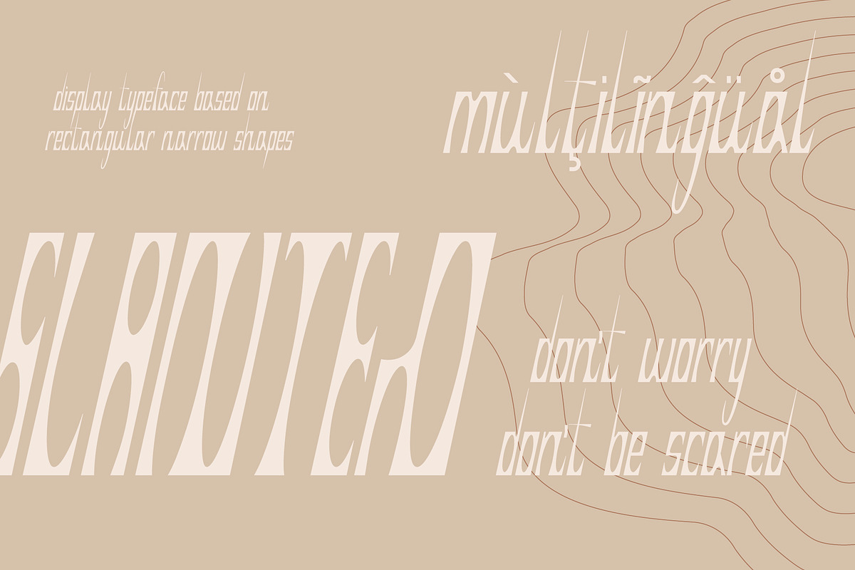 SK Coisa — Decorative Slanted Font, a Font by Shriftovik Type Foundry (Photo 2 of 8)
