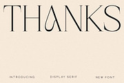Magisse Display Serif Font, a Serif Font by Storytype Studio (Thumbnail 15 of 15)