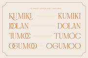 Ophirra – Elegant Serif Font, a Serif Font by kangfont Studio (Thumbnail 6 of 10)