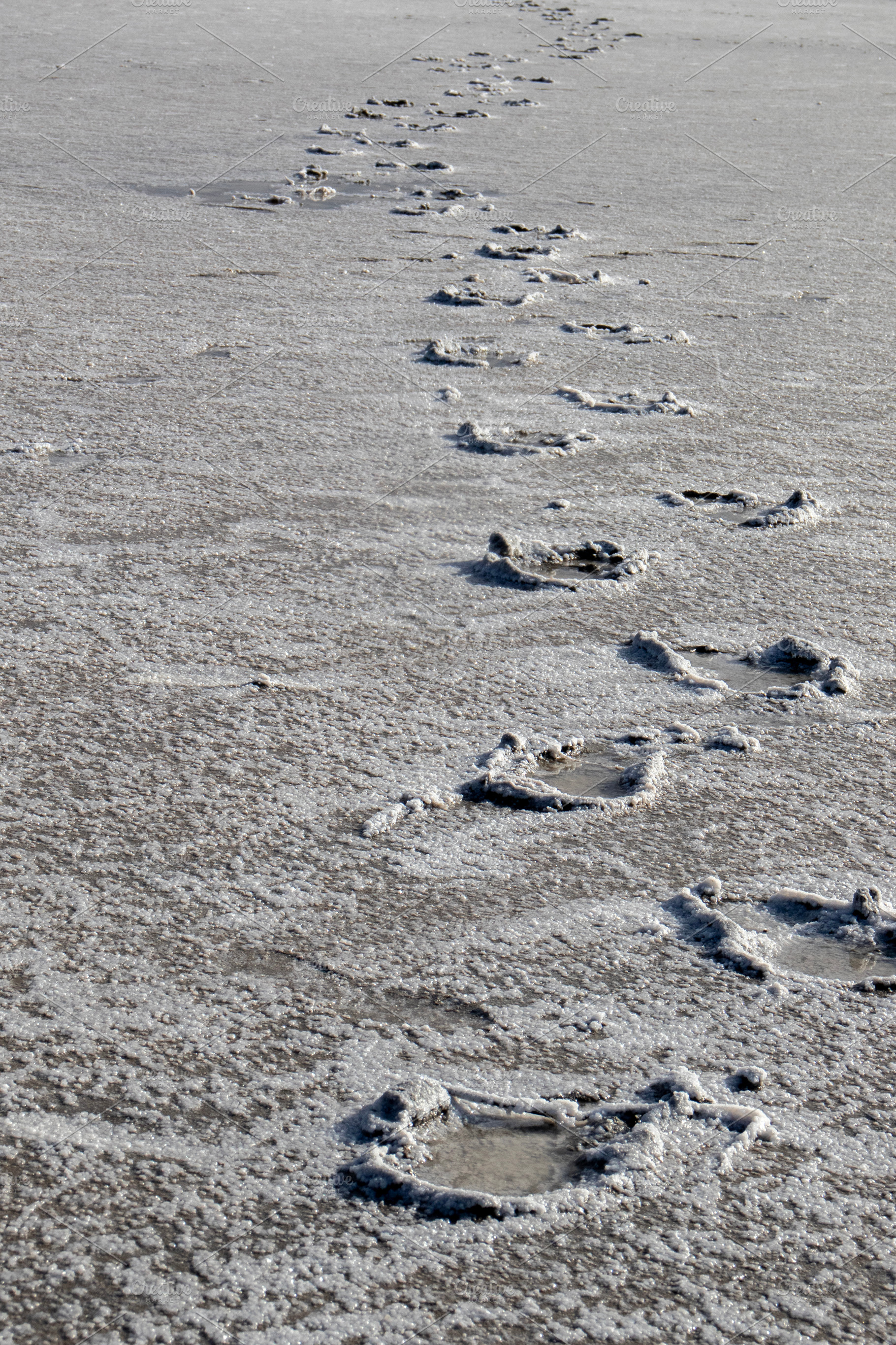 Footprints tracing a lonely path, a Person Photo by Schreibikus