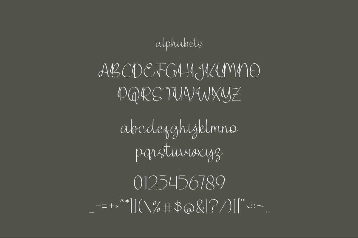Bagheltsa Font, a Script Font by ponuppo (Photo 5 of 5)