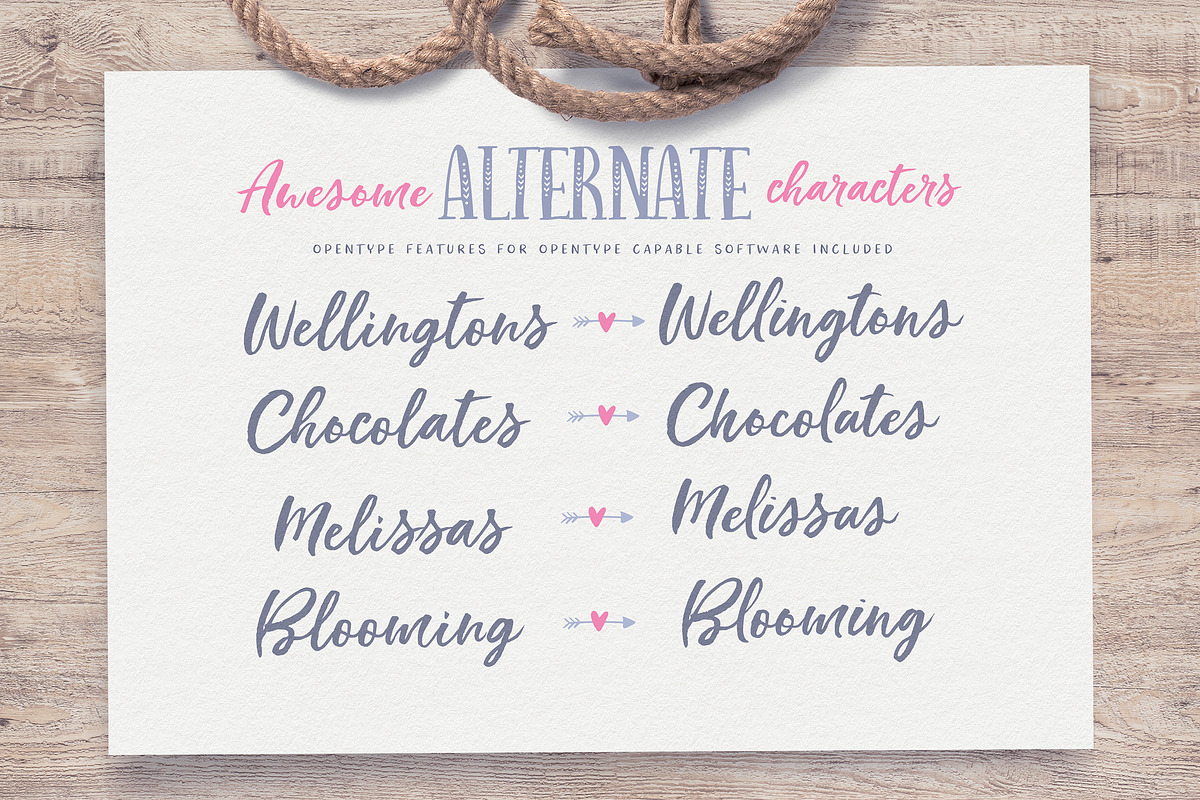 Indigo Summer Font Trio, a Script Font by Nicky Laatz (Photo 19 of 21)
