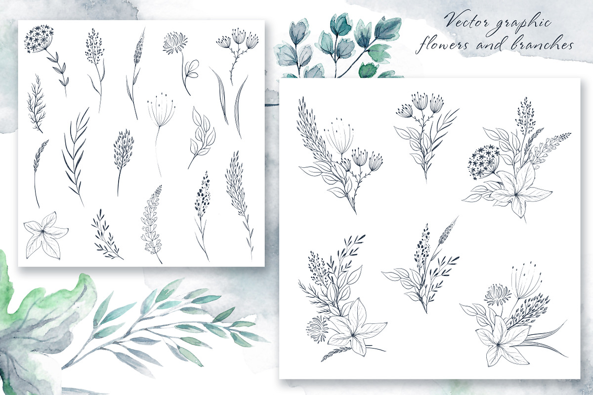 Watercolor herbs collection, an Illustration by Molly art (Photo 13 of 13)