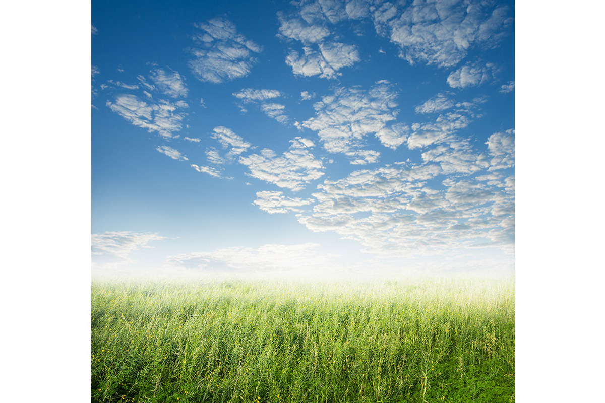 50 Fields background Set 01, a Texture Graphic by FWStudio (Photo 5 of 13)