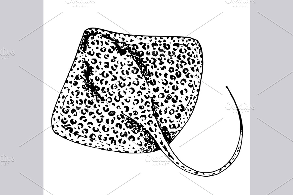 Stingray fish illustrations, pattern, an Animal Illustration by OKart.studio (Photo 2 of 8)