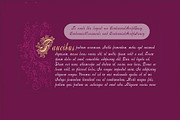 Centennial Script Fancy PACK, a Blackletter Font by Intellecta Design (Thumbnail 5 of 5)