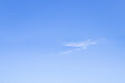 Blue Skies for sky replacement, a Background Photo by Liz Mitchell Photography (Thumbnail 3 of 12)