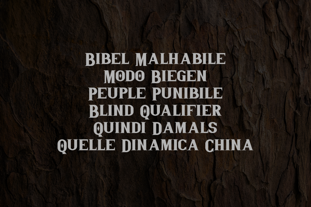Adhame Font, a Serif Font by albert_kalingga (Photo 4 of 5)