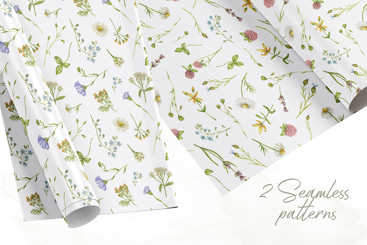 Little wild flower, a Decorative Illustration by Irina Avdeeva (Photo 8 of 9)