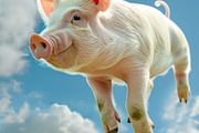 116 Flying animals, an Animal Photo by Handmadefont (Thumbnail 98 of 119)