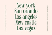 Repslag Brocker Luxury Serif Font, a Serif Font by timelesstype.co (Thumbnail 6 of 20)