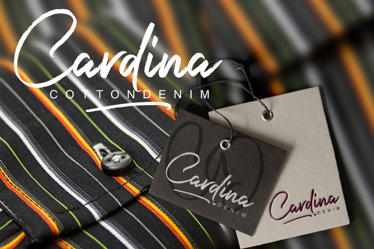 Harista Script, a Script Font by joelmaker (Photo 10 of 13)
